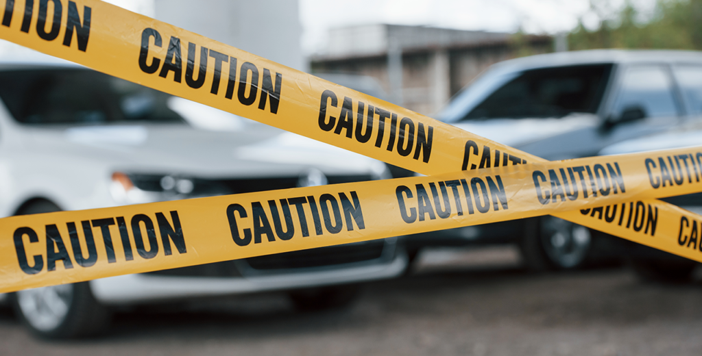 Houston Rallies for Dania Zaheer After Hit-and-Run Tragedy